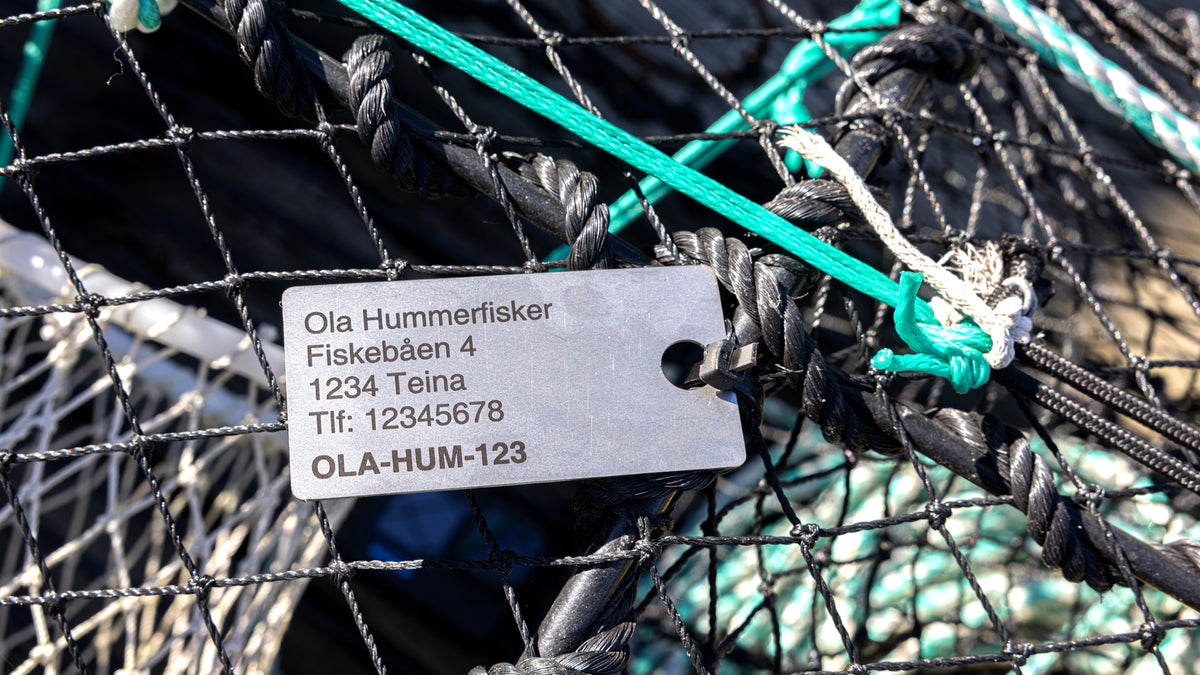 Teinemerke Hummerfiske 10stk