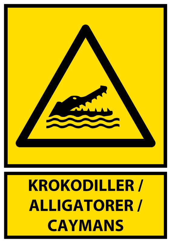 Krokodiller Aligatorer Caymans