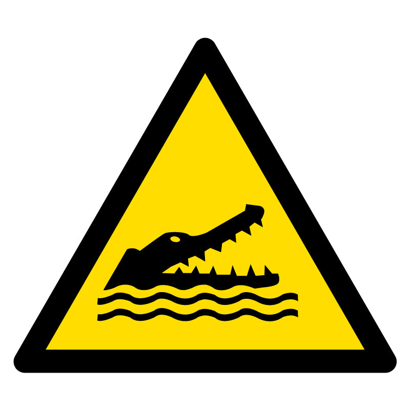 Krokodiller Aligatorer Caymans