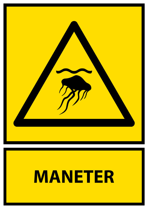 Maneter