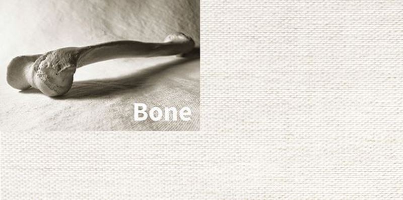 bone_800